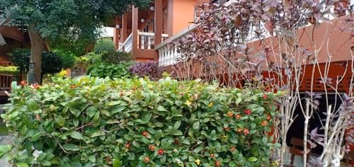 Bungalow with Garden View
