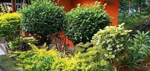 Bungalow with Garden View