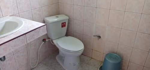 Standard Bungalow