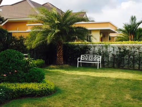 Bungalow with Garden View