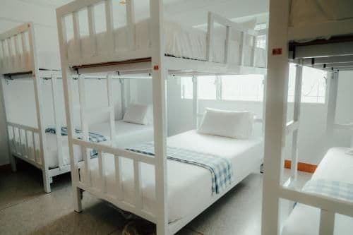 Bunk Bed in Female Dormitory Room