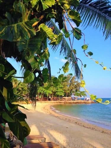 Bungalow - Beach Front