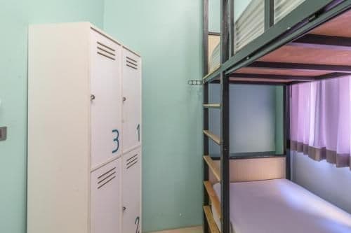 Bunk Bed in Mixed Dormitory Room