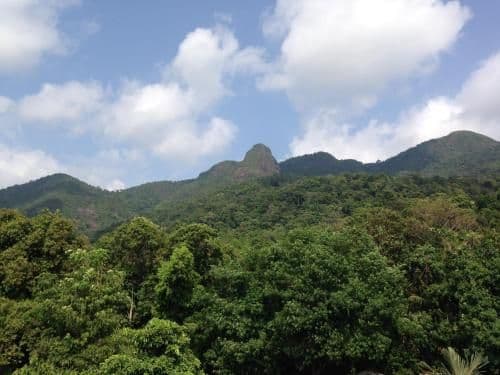 Double Room with Mountain View