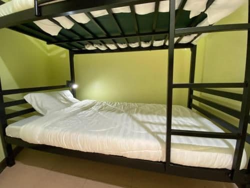 Bunk Bed in Mixed Dormitory Room