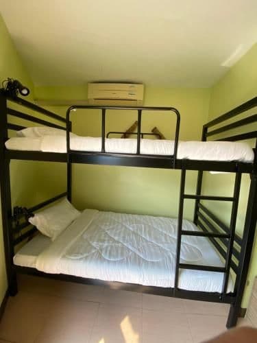 Bunk Bed in Mixed Dormitory Room