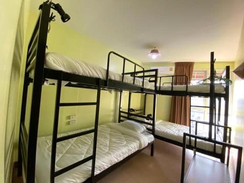 Bed in 4-Bed Mixed Dormitory Room