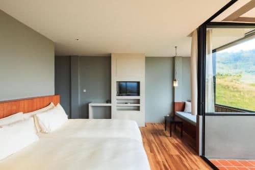 Deluxe Double or Twin Room with Balcony