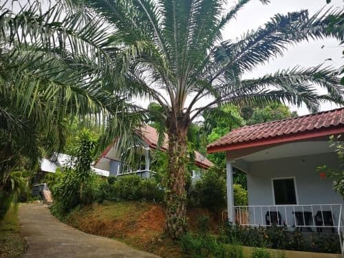 Standard Bungalow