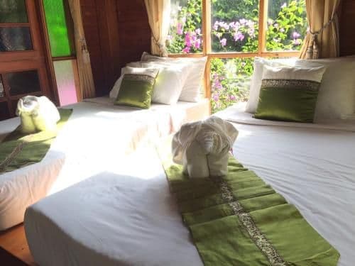 Standard Twin Room with Garden View