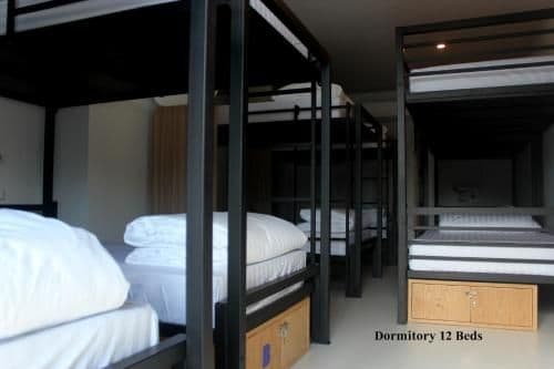 Bed in 12-Bed Mixed Dormitory Room