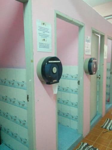 Bunk Bed in Mixed Dormitory Room