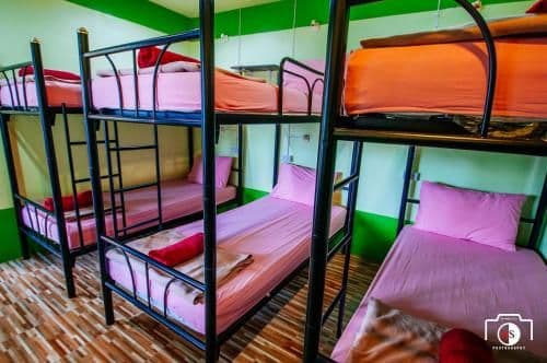 Bed in 6-Bed Mixed Dormitory Room