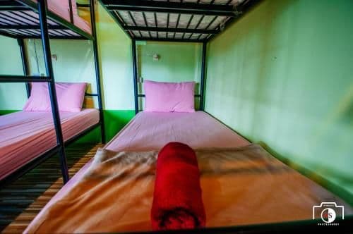 Bed in 6-Bed Mixed Dormitory Room