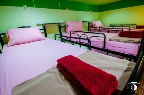 Bed in 6-Bed Mixed Dormitory Room