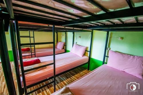 Bed in 6-Bed Mixed Dormitory Room