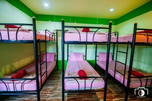 Bed in 6-Bed Mixed Dormitory Room