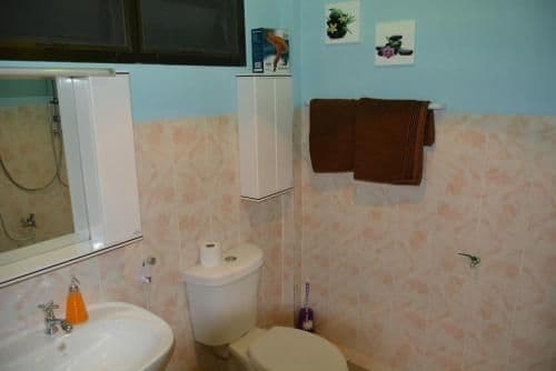 Superior One-Bedroom House