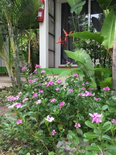 Nayai Resort
