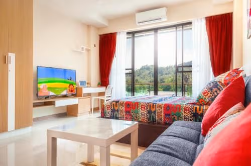 Deluxe Apartment