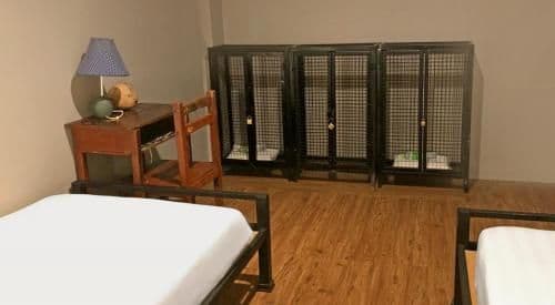 Standard Twin Room with Shared Bathroom