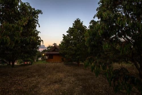 Standard Bungalow