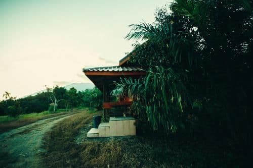 Deluxe Bungalow
