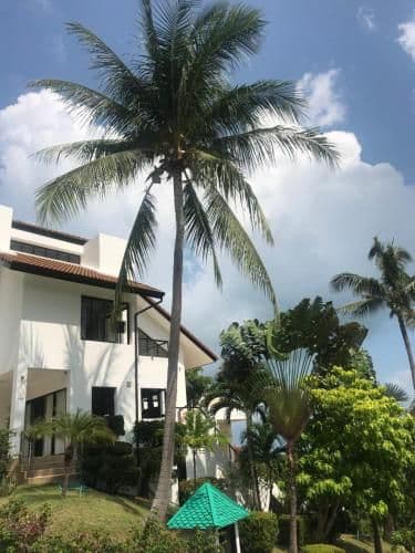 Villa with Sea View