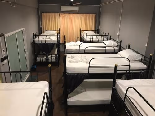 Bunk Bed in Mixed Dormitory Room