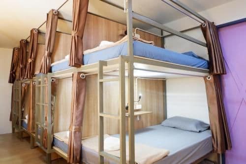 Bunk Bed in Female Dormitory Room