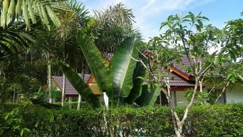 Bungalow with Patio