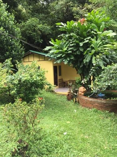 Bungalow with Garden View