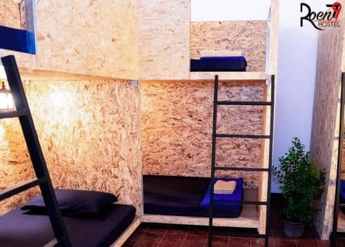 Bunk Bed in Mixed Dormitory Room