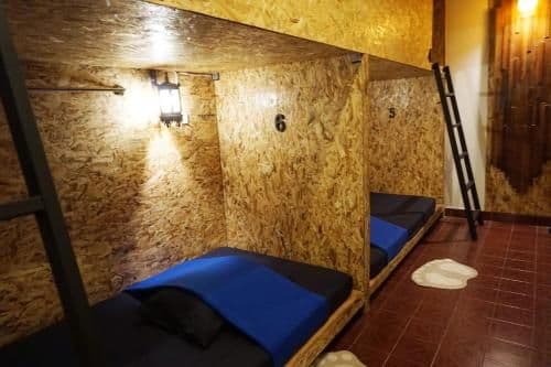 Bunk Bed in Mixed Dormitory Room
