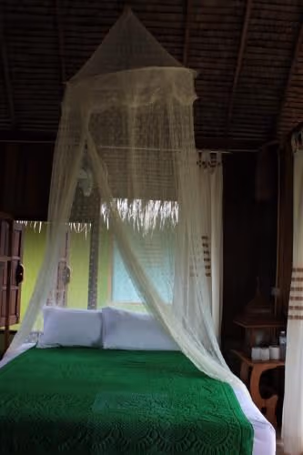 King Room with Garden View