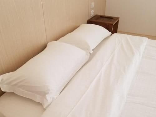 Private King Bed Room (Shared bathroom)