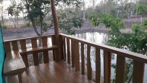Single Room with Garden View