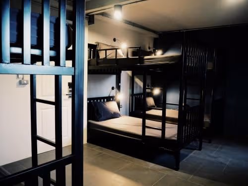 Bunk Bed in Mixed Dormitory Room