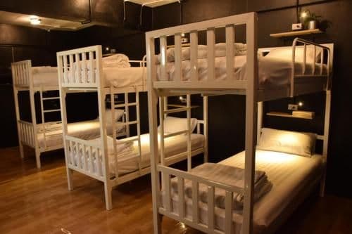 Bunk Bed in Mixed Dormitory Room