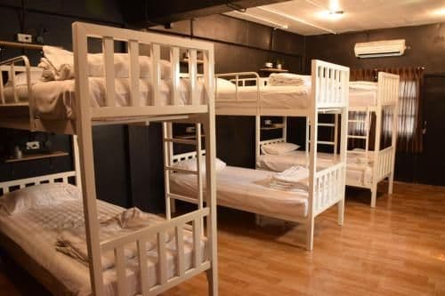 Bunk Bed in Mixed Dormitory Room