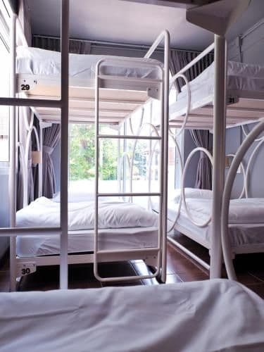 Bunk Bed in Mixed Dormitory Room