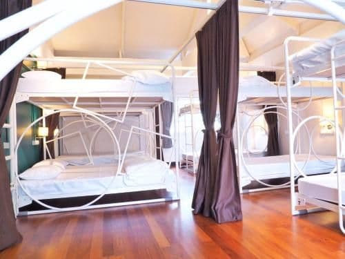 Bunk Bed in Mixed Dormitory Room