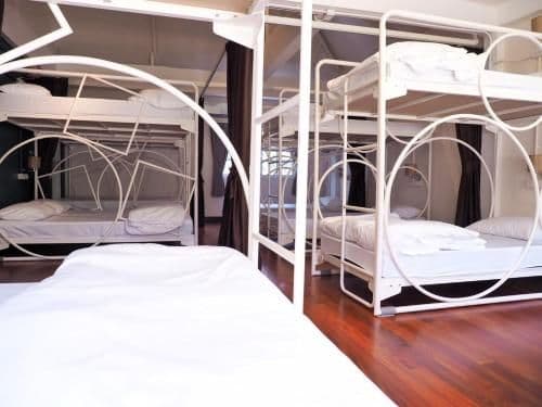 Bunk Bed in Mixed Dormitory Room