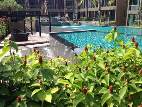 Apartment with Pool View 