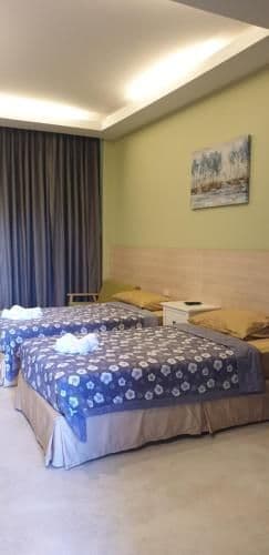 Double or Twin Room with Pool View