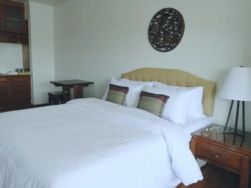 Studio Apartment (Unit924)