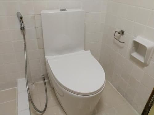 Studio Apartment (Unit924)
