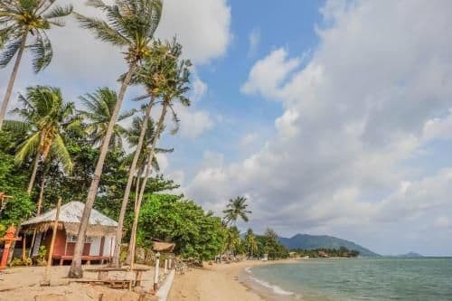 Bungalow - Beach Front