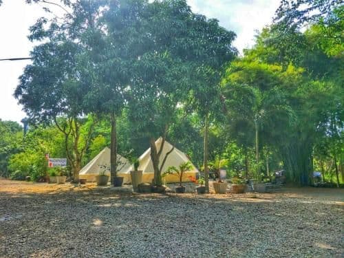 Tent