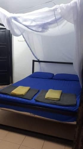 Standard Double Room with Fan